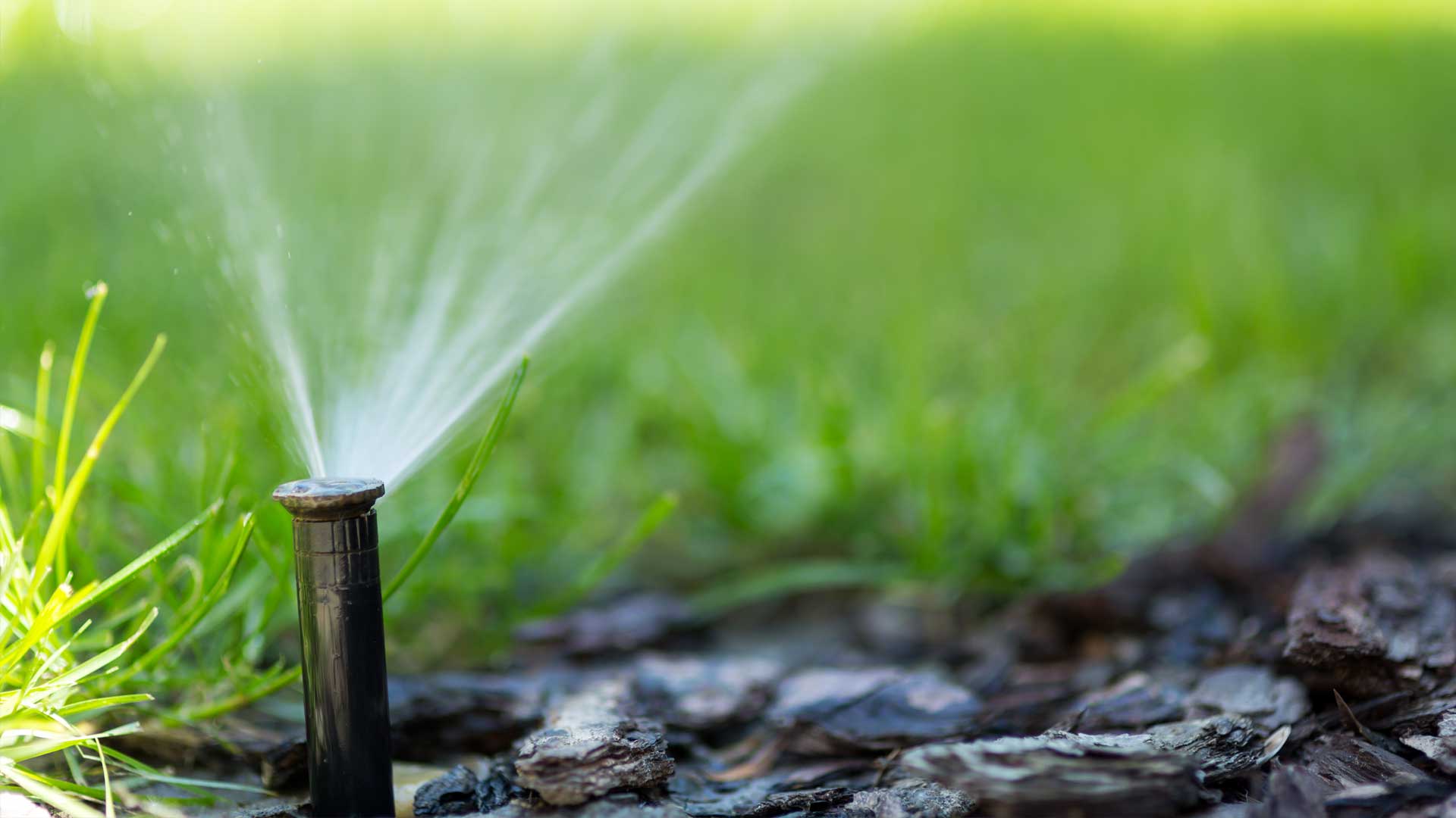 Irrigation system waters the landscaping in Broomfield, CO.