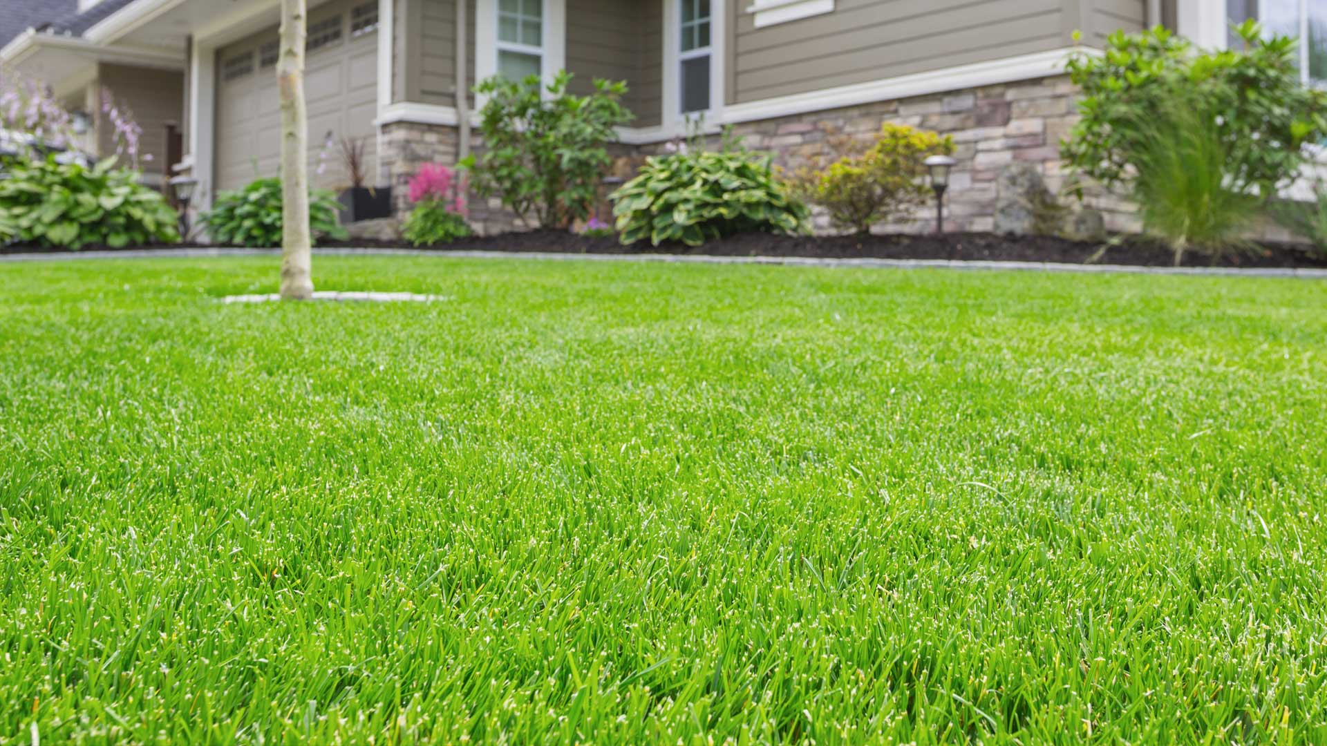 Mowing and maintenance of a property in Thornton, CO.