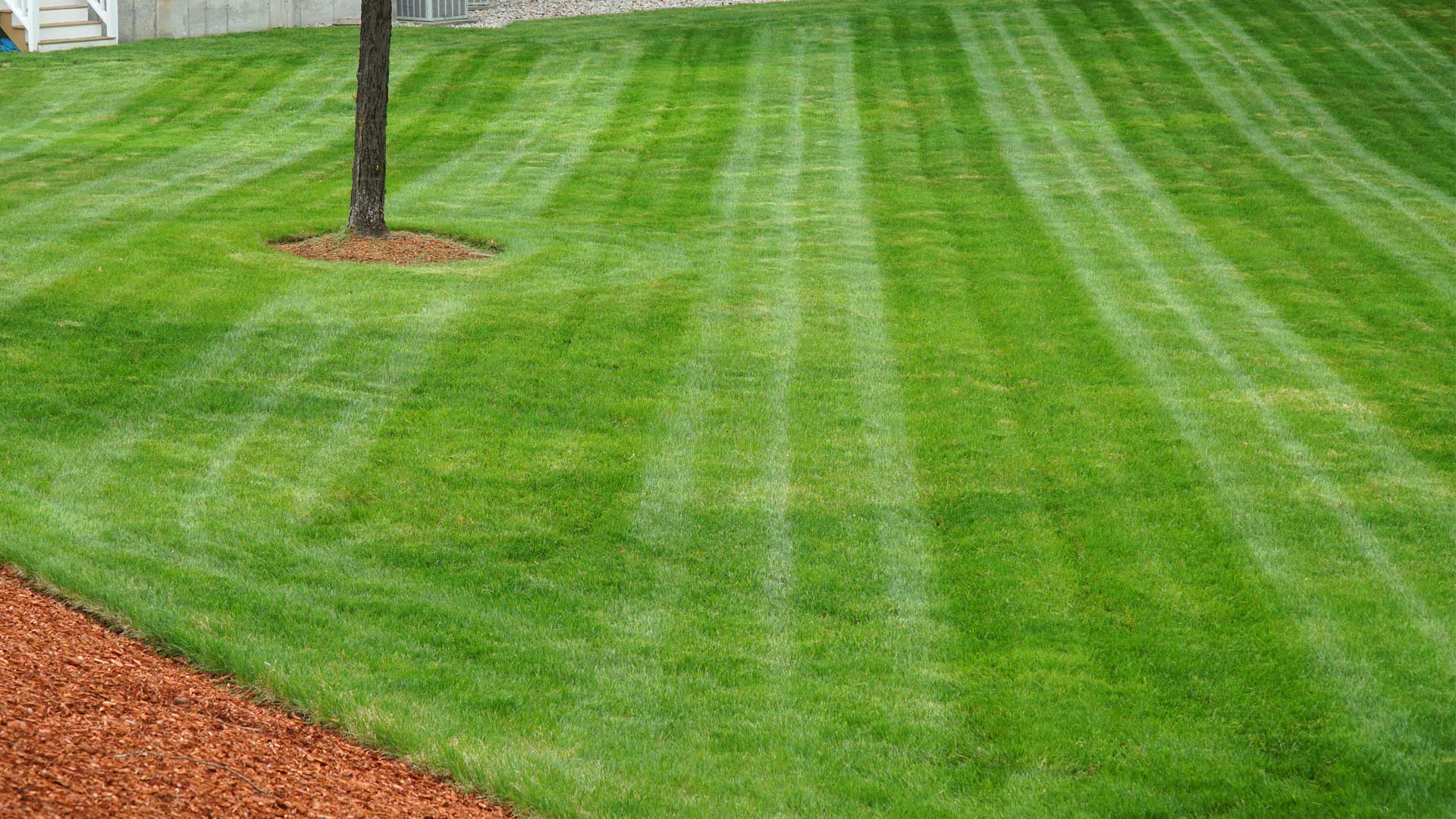 Property we service in Northglenn, CO.