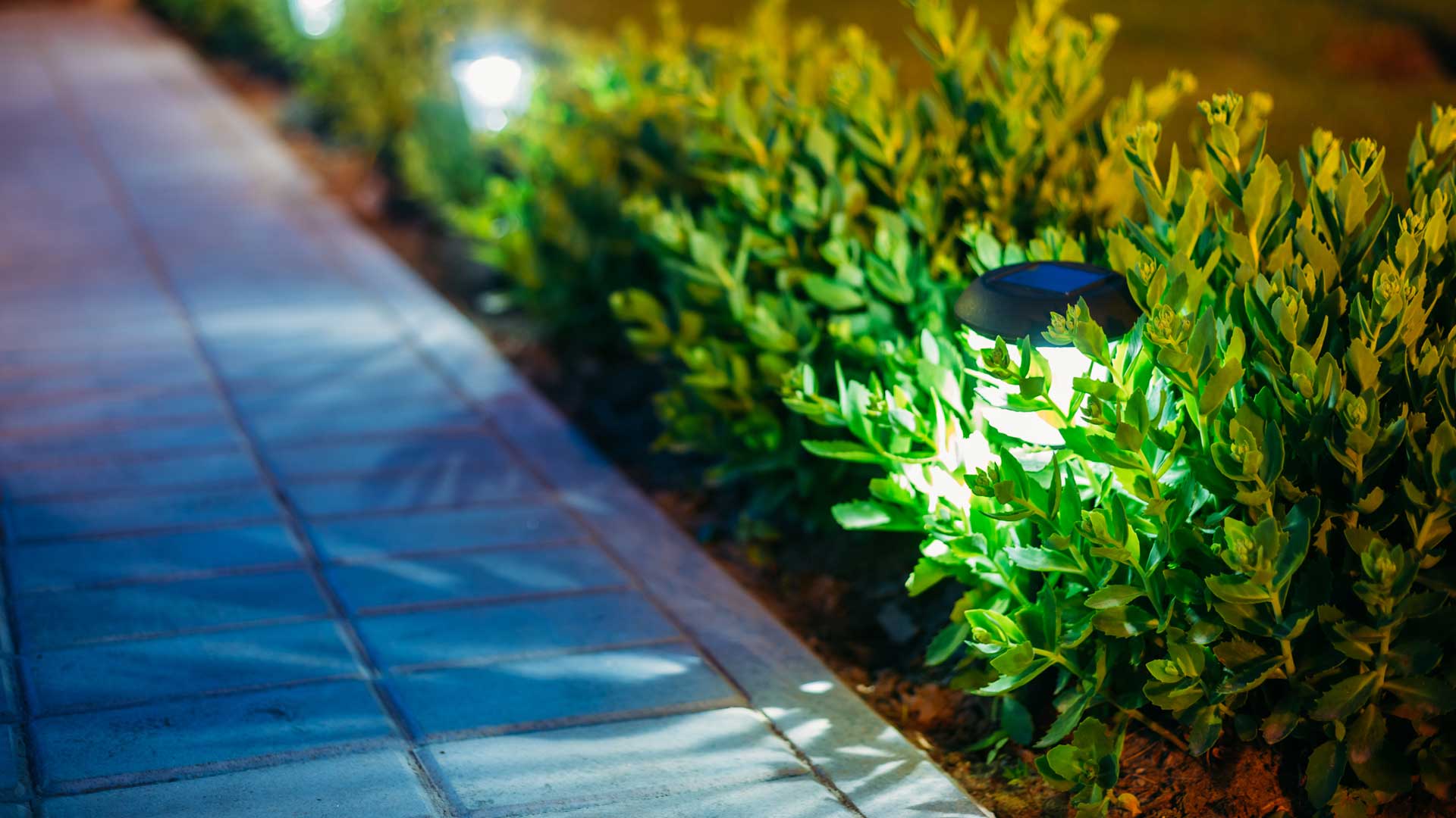 Northglenn homes new pathway landscape lighting.