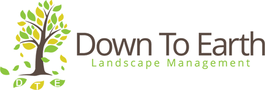Down to Earth Logo